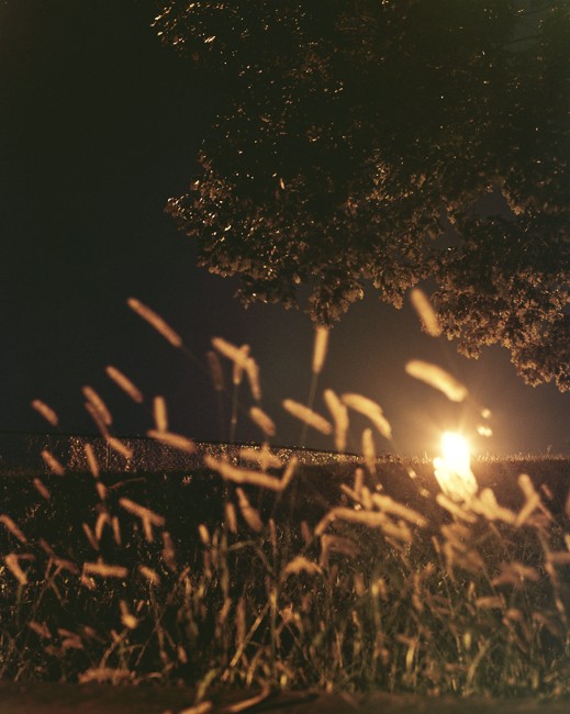 photograph by jimmy fountain. untitled, 2012