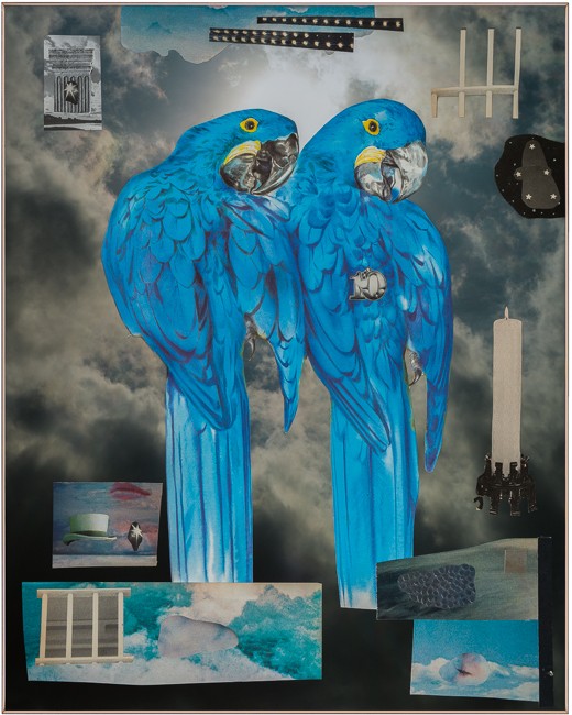 Photo-collage by John Bowman and Jimmy Fountain. Blue Parrots, 2021